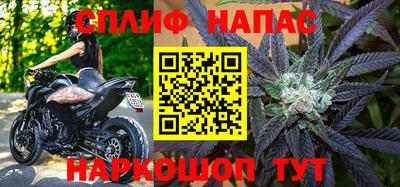 дмт Бийск