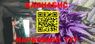 дмт Бийск
