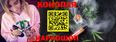дмт Бийск
