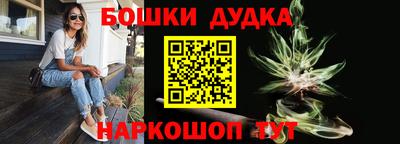 дмт Бийск