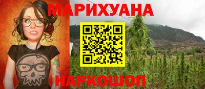 дмт Бийск