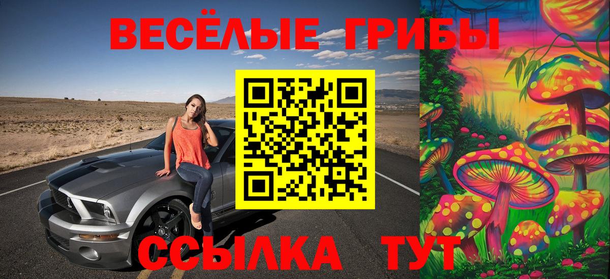 Знаменск  Псилоцибиновые грибы ЛСД  Вход с VPN 