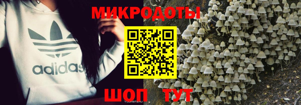 Галлюциногенные грибы Psilocybine cubensis Знаменск